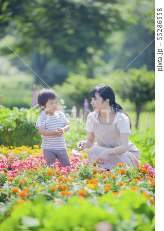 親子でガーデニング 55286558