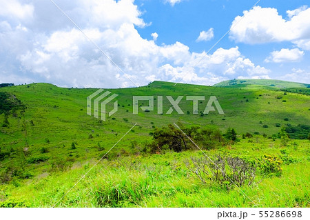 車山高原の風景 （夏）　：　ゼブラ山（男女倉山）から北の耳・南の耳・車山を望む 55286698