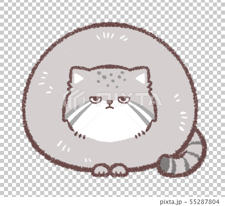 マヌルネコ 55287804