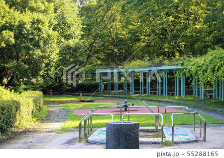 久喜菖蒲公園 55288165