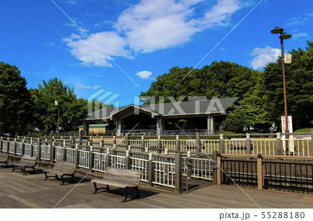 久喜菖蒲公園 久喜菖蒲公園 55288180