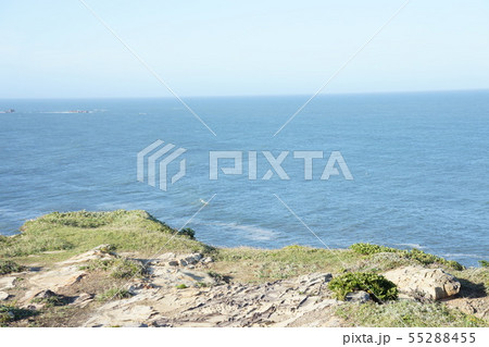 岸壁からの海 岸壁からの海 55288455