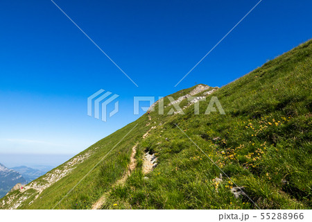 【スイス】 ブリエンツ・ロートホルンハイキング 【スイス】 ブリエンツ・ロートホルンハイキング 55288966