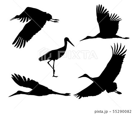 Set of realistic silhouettes stork or heron, 55290082