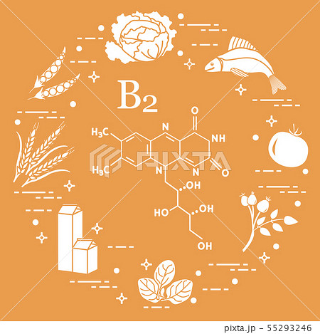 Foods rich in vitamin B2 Fish, peas and other. 55293246