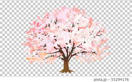 桜の木のイラスト素材