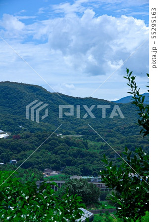 玉手山からの景色 55295163