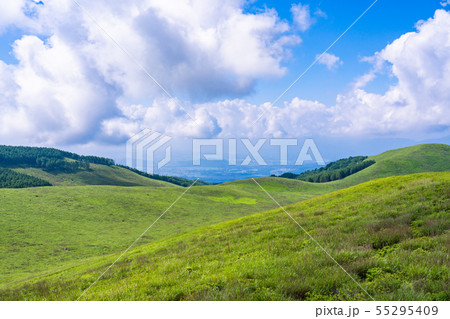 (長野県)夏の霧ヶ峰高原 (長野県)夏の霧ヶ峰高原 55295409