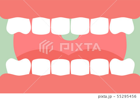open mouth with healthy teeth and tongue open mouth with healthy teeth and tongue 55295456