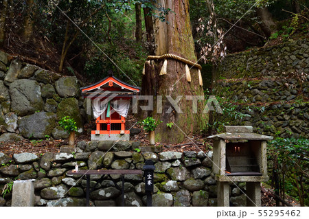 鞍馬寺より 55295462