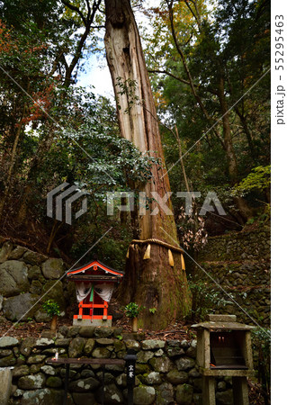 鞍馬寺より 55295463