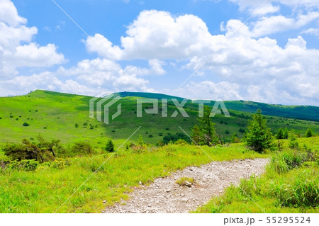 車山高原の風景 (夏) : ゼブラ山(男女倉山)から南の耳・蝶々深山・車山を望む 車山高原の風景 (夏) : ゼブラ山(男女倉山)から南の耳・蝶々深山・車山を望む 55295524