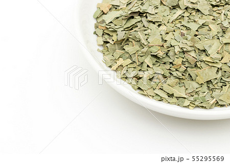 ニームの葉、ニームリーフ:Neem leaf ニームの葉、ニームリーフ:Neem leaf 55295569