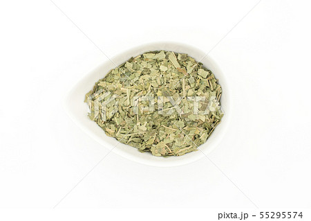 ニームの葉、ニームリーフ:Neem leaf ニームの葉、ニームリーフ:Neem leaf 55295574