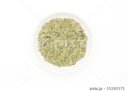 ニームの葉、ニームリーフ:Neem leaf ニームの葉、ニームリーフ:Neem leaf 55295575