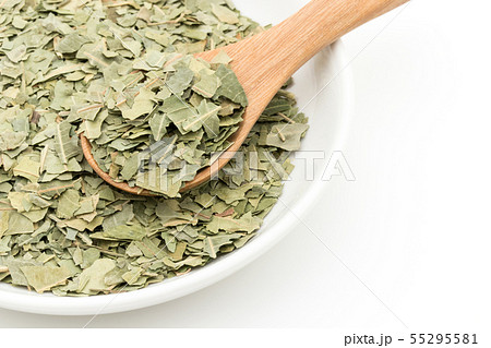 ニームの葉、ニームリーフ：Neem leaf 55295581