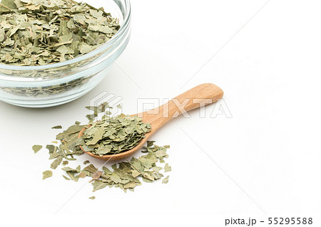 ニームの葉、ニームリーフ:Neem leaf ニームの葉、ニームリーフ:Neem leaf 55295588