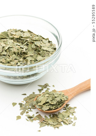 ニームの葉、ニームリーフ：Neem leaf 55295589
