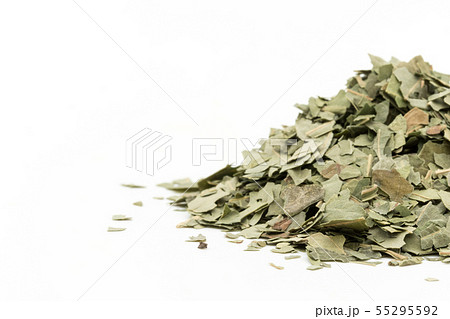 ニームの葉、ニームリーフ：Neem leaf 55295592