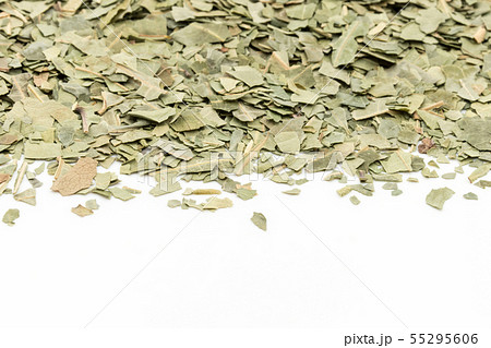 ニームの葉、ニームリーフ：Neem leaf 55295606