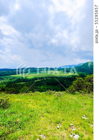 車山高原の風景 (夏) : ゼブラ山(男女倉山)から八島湿原を望む 車山高原の風景 (夏) : ゼブラ山(男女倉山)から八島湿原を望む 55295657