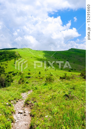 車山高原の風景 (夏) : ゼブラ山(男女倉山)から北の耳・南の耳を望む 車山高原の風景 (夏) : ゼブラ山(男女倉山)から北の耳・南の耳を望む 55295660