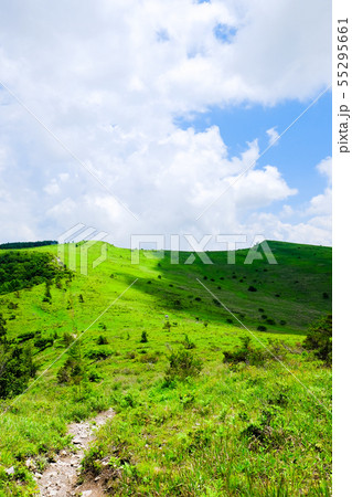 車山高原の風景 (夏) : ゼブラ山(男女倉山)から北の耳・南の耳を望む 車山高原の風景 (夏) : ゼブラ山(男女倉山)から北の耳・南の耳を望む 55295661