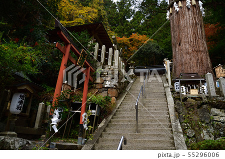 由岐神社より 55296006