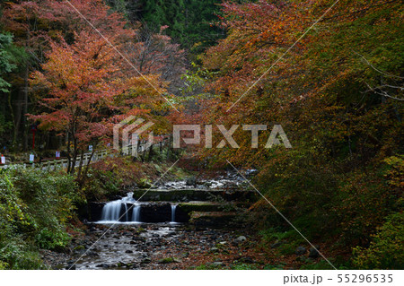 貴船より 55296535