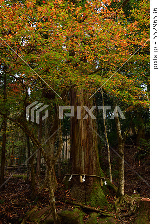 貴船神社より 55296536