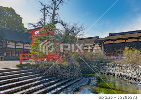 下鴨神社 みたらし池と境内の風景 下鴨神社 みたらし池と境内の風景 55296573