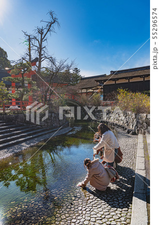 下鴨神社 みたらし池と境内の風景 55296574