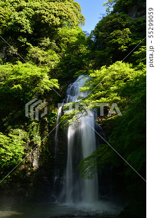 箕面の滝より 55299059
