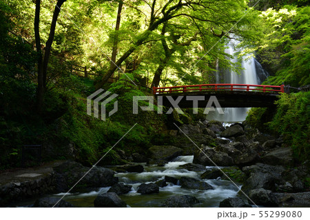 箕面の滝より 55299080