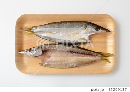 カマスの干物 55299137