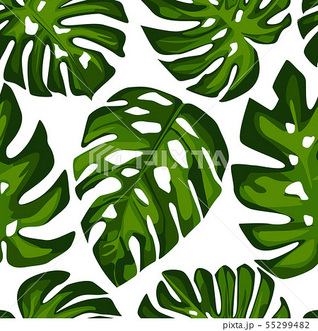 Exotic Tropical monstera leaves seamless pattern. 55299482