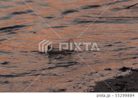 Plastic cup garbage on the beach is an environment 55299884