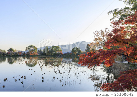 京都・大覚寺・大沢池・秋・紅葉 京都・大覚寺・大沢池・秋・紅葉 55300645