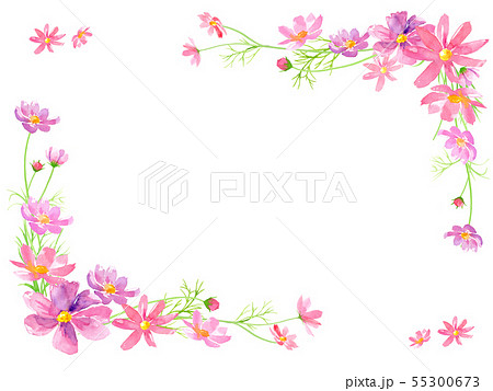コスモスの花の水彩イラストで装飾したフレーム メッセージカードのイラスト素材
