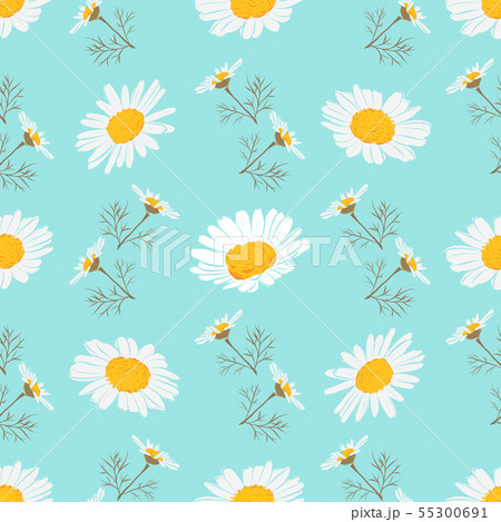 Daisy seamless pattern, Chamomile background. Blooming daisies on a gentle turquoise background 55300691
