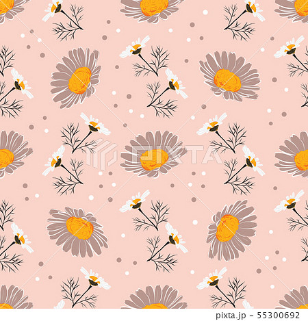 Daisy seamless pattern, Chamomile background. Flowers and leaves of daisies on a gentle pink 55300692