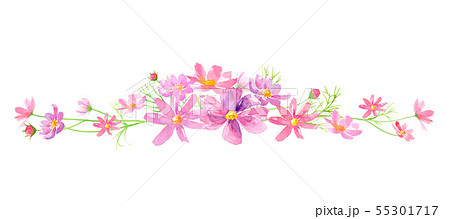 コスモスの花の装飾フレームライン 水彩イラストのイラスト素材