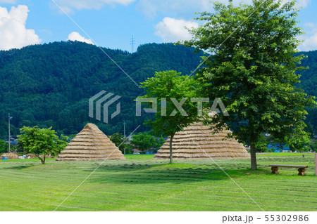 平出遺跡公園と新緑 55302986