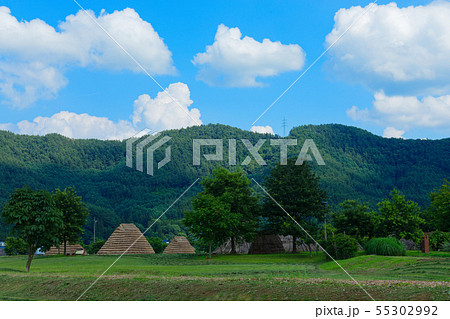 平出遺跡公園と新緑 55302992