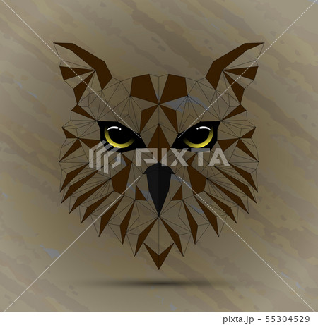 Owl bird low poly design 55304529