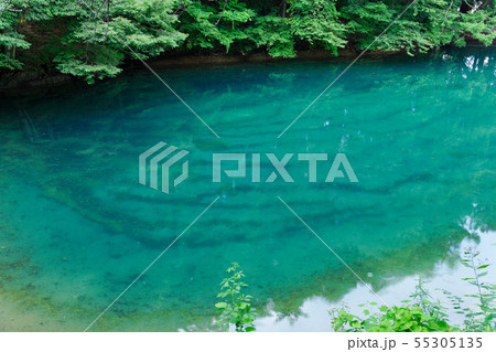 平出の泉と新緑 55305135