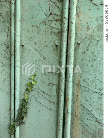 緑色のフェンス/Green fence 緑色のフェンス/Green fence 55306054