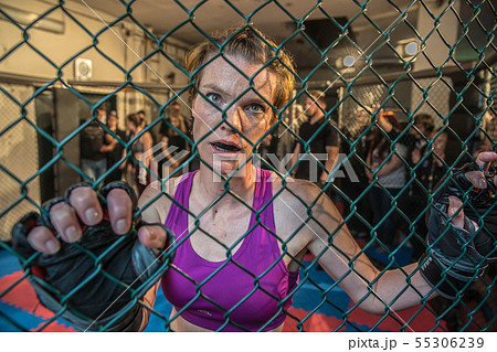 Gorgeous woman, mma fighter in gym  55306239