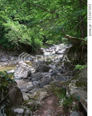厳立渓谷 渓流 厳立渓谷 渓流 55307303