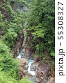 川浦渓谷 55308327